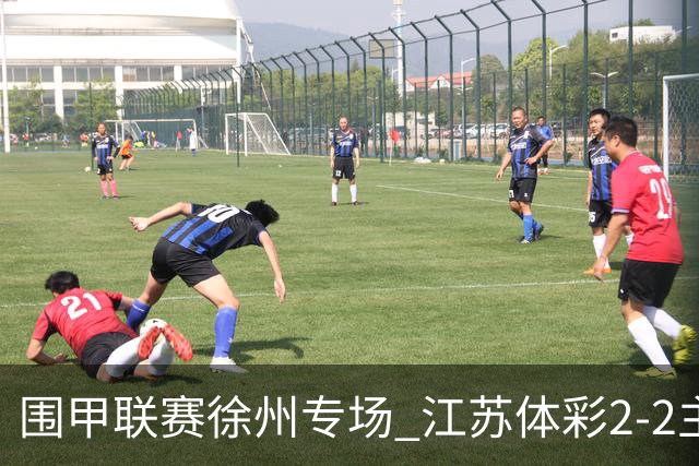 围甲联赛徐州专场 江苏体彩2-2主将负重庆坎济